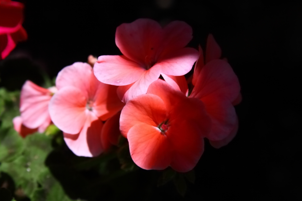 2012 05 19 3476